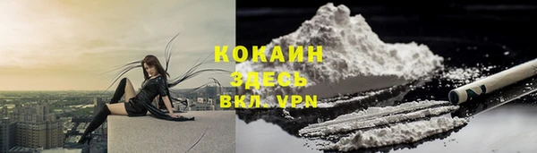 тгк Аркадак