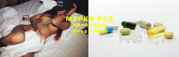 крисы Арсеньев