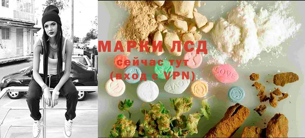 крисы Арсеньев
