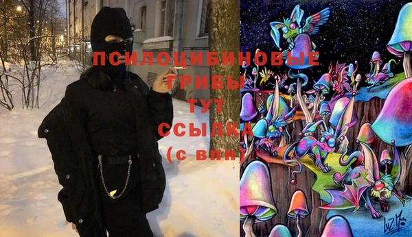 тгк Аркадак