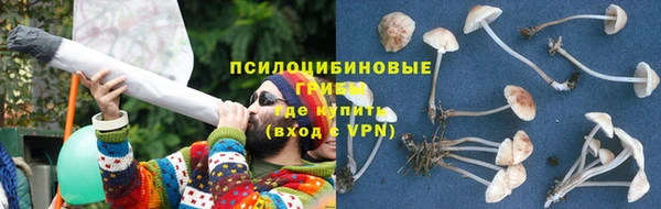 тгк Аркадак