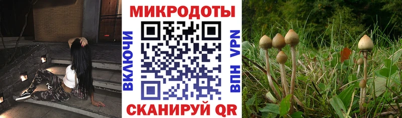 купить наркотики цена  Павловск  Галлюциногенные грибы MAGIC MUSHROOMS 